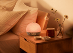 Sunrise Alarm & White-Noise Pod